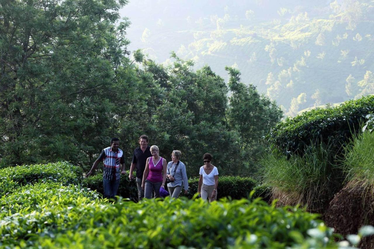 Shamrock Holiday Home Munnar Esterno foto